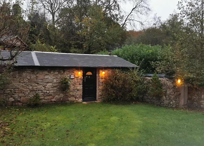 Shed Gwely